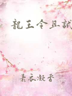 龙王令且试天下