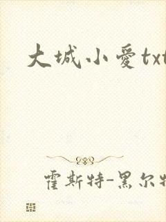 大城小爱txt