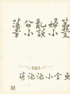 荡公乱妇第51章小说小莹