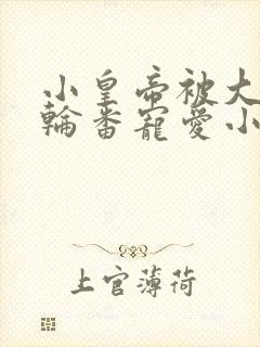 小皇帝被大臣们轮番宠爱小说