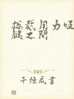 总裁用力吸允两腿之间