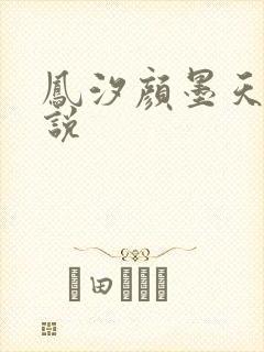 凤汐颜墨天问小说