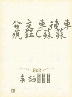 公交车后车座的疯狂C苏苏