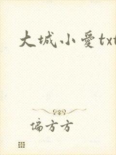 大城小爱txt