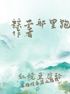 粽子哪里跑小说作者