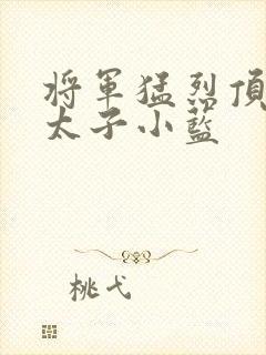 将军猛烈顶弄h太子小蓝