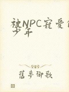 被NPC宠爱的少年