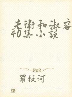 老卫和淑容1-40集小说