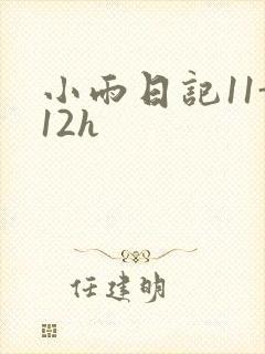 小雨日记11-12h