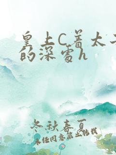 皇上C着太子妃的深处h