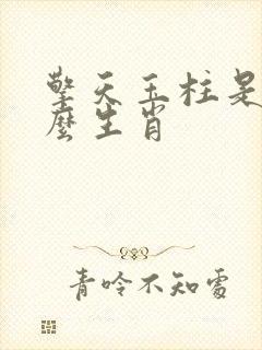 擎天玉柱是指什么生肖