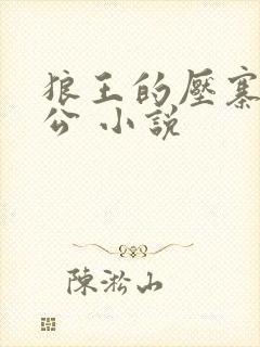 狼王的压寨小相公 小说