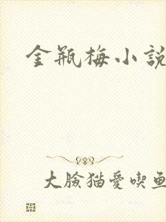 金瓶梅小说在线