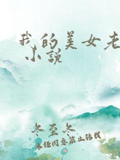 我的美女老婆们 小说