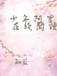 少 年 阿 宾 在 线 阅 读