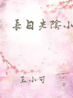 长日光阴小说