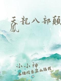 天龙八部颠龙鸾凤