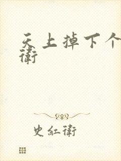 天上掉下个影卫卫