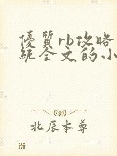 优质rb攻略系统全文的小说