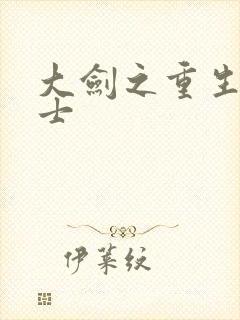 大剑之重生圣骑士