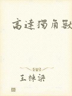 高达独角兽小说