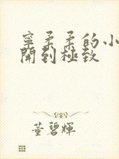 宁柔柔的小泬撑开到极致