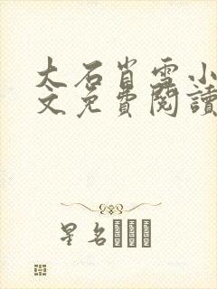 大石肖雪小说全文免费阅读