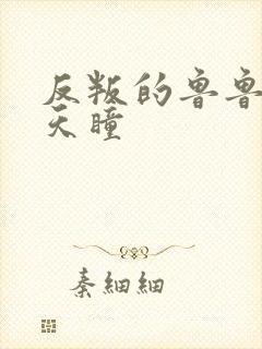 反叛的鲁鲁修之天瞳