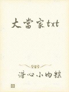 大当家txt