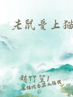 老鼠爱上猫下载