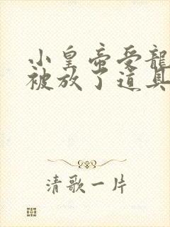 小皇帝受龙椅上被放了道具