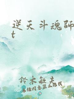 逆天斗魂师txt