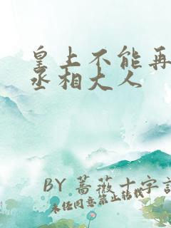 皇上不能再进了丞相大人