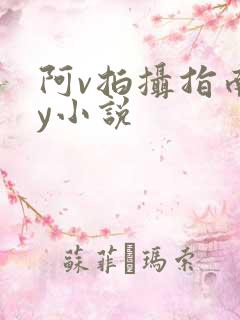 阿v拍摄指南by小说