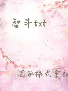 智斗txt