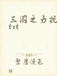 三国之力挽狂澜txt