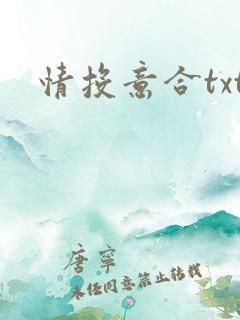情投意合txt