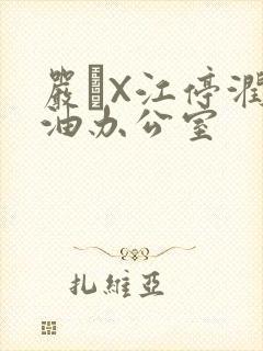 严峫X江停润滑油办公室