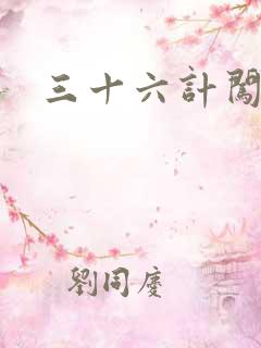 三十六计闯官场