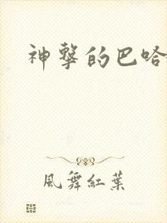 神击的巴哈姆特