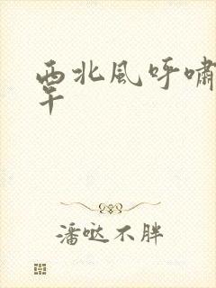 西北风呼啸的中午