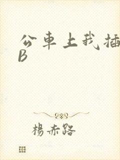 公车上我插上骚B