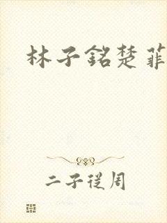 林子铭楚菲小说