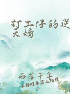 打工仔的逆袭楚天娇