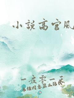 小说高官风流