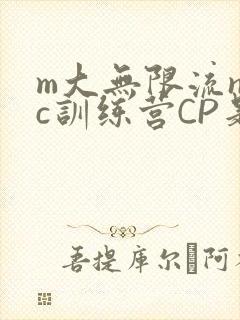 m大无限流npc训练营CP是