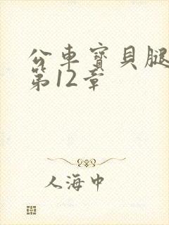 公车宝贝腿开点第12章