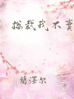 总裁我不卖宝宝