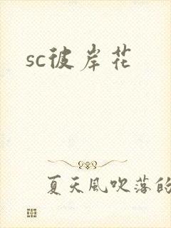 sc彼岸花
