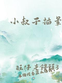小叔子插晕我
